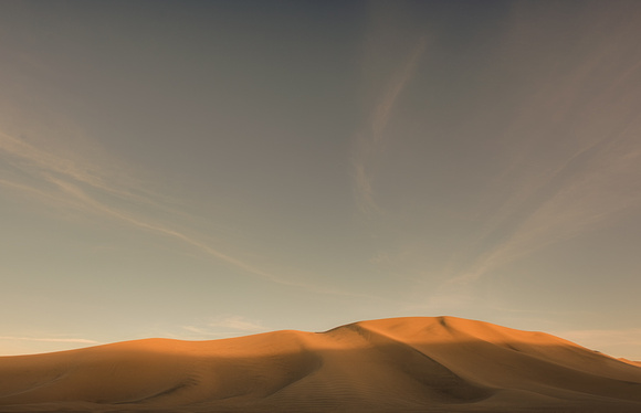 Desert Morning