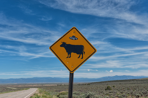 Cow - Flying Saucer Sign