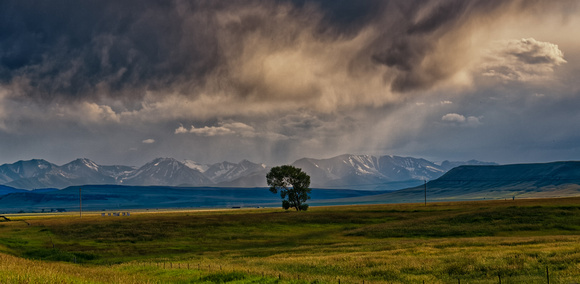 Summer Rain on a Montana Ranch