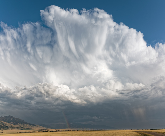 Montana Summer Thunderstorm