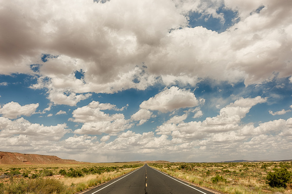 New Mexico Summer Road
