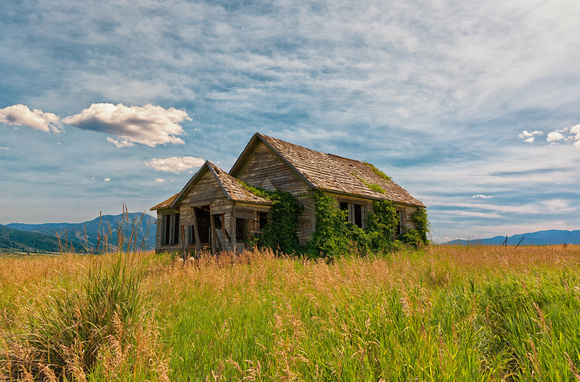 Idaho Overgrown Farmhouse