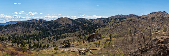 Palmer Canyon Panorama