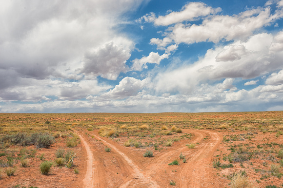 Desert Dual Roads