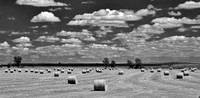 Bales 2 (B&W)