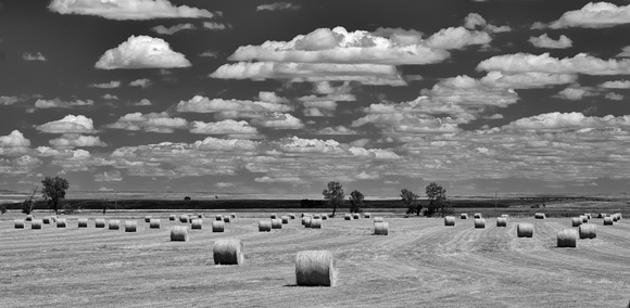 Bales 2 (B&W)