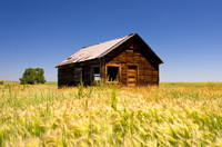 Abandoned Cabin