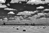 Bales (B&W)